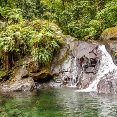 Bassin Paradis