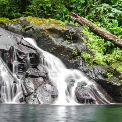 Bassin Paradis