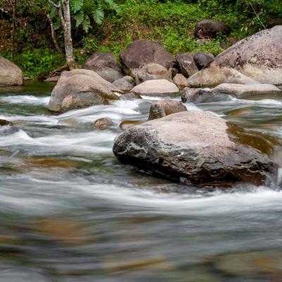 Grand Rivière de Vieux Habitants