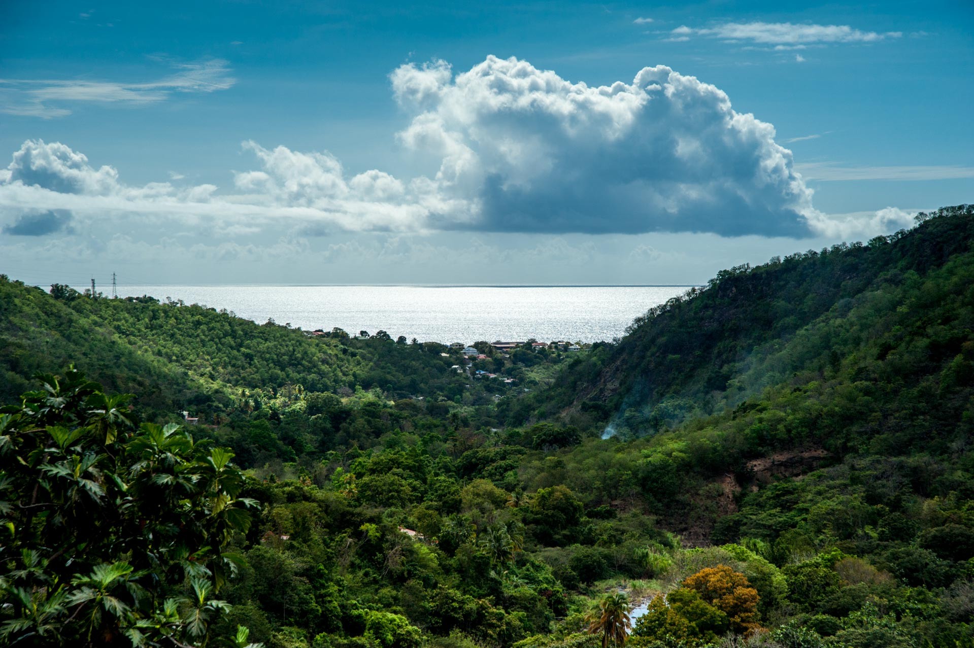 Vue sur la mer des Caraïbes