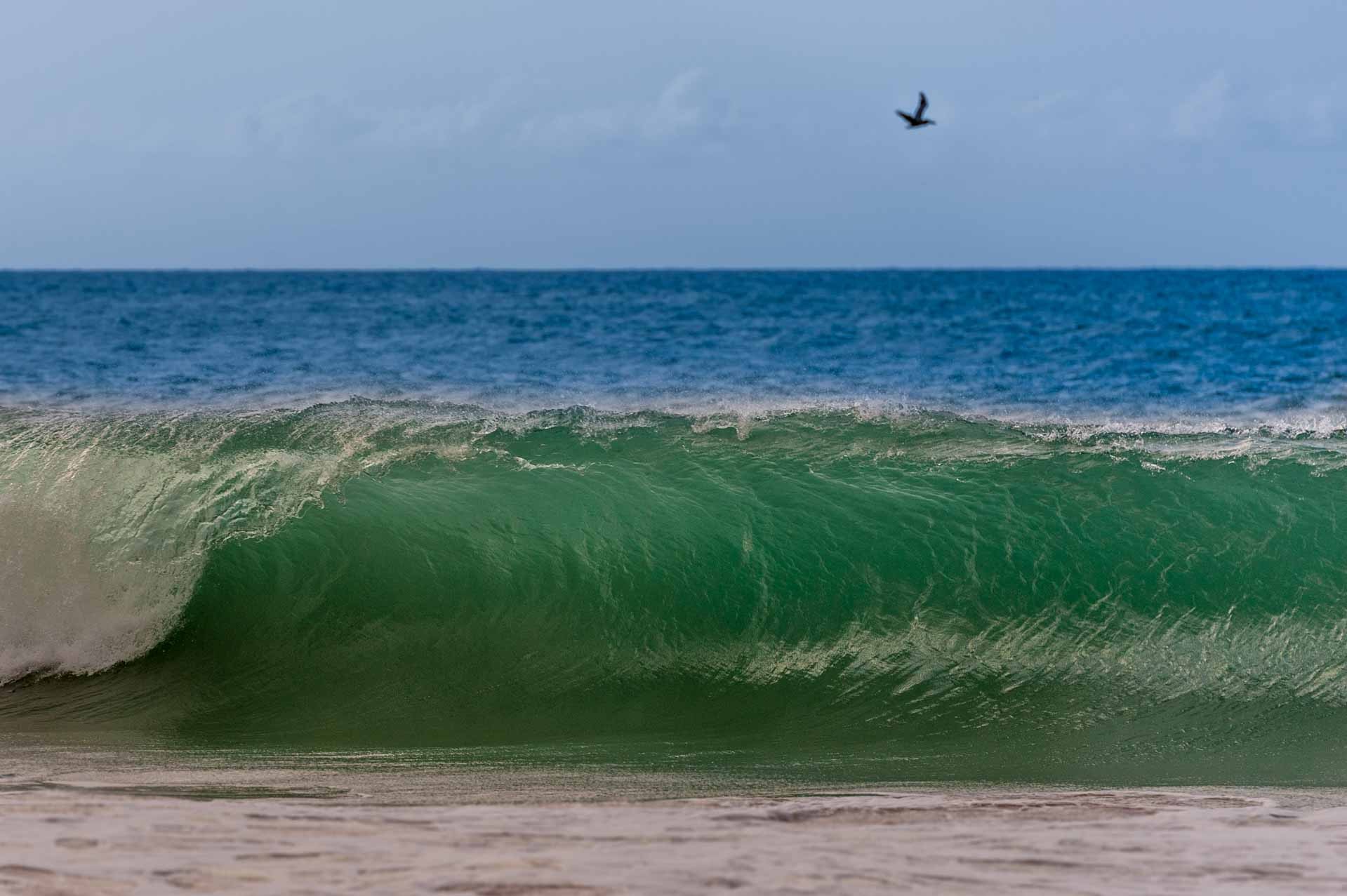 Vague à la plage de Cluny