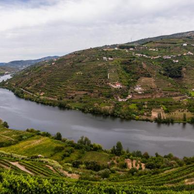 Vallée du Douro