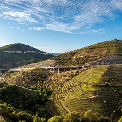 Vallée du Douro