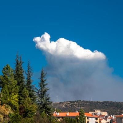 Fumée d'incendie