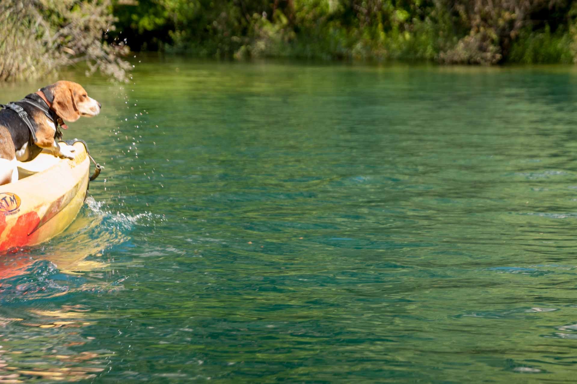 Gorges du Verdon