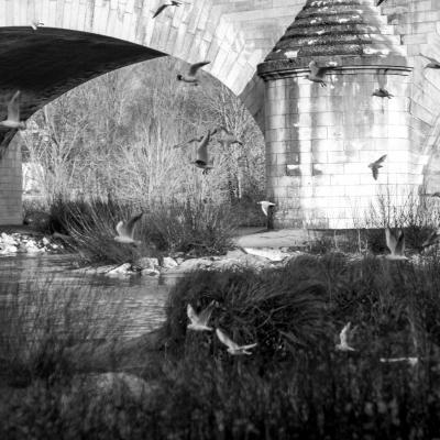 Pont Georges V